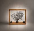 Quadro Double Face
