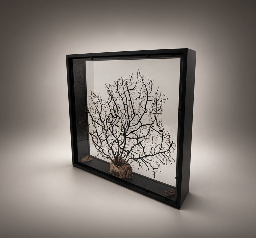 Quadro Double Face