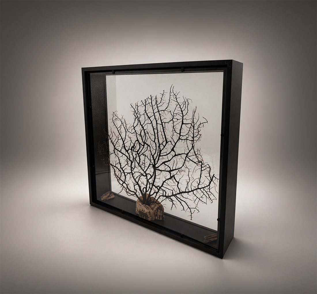 Quadro Double Face