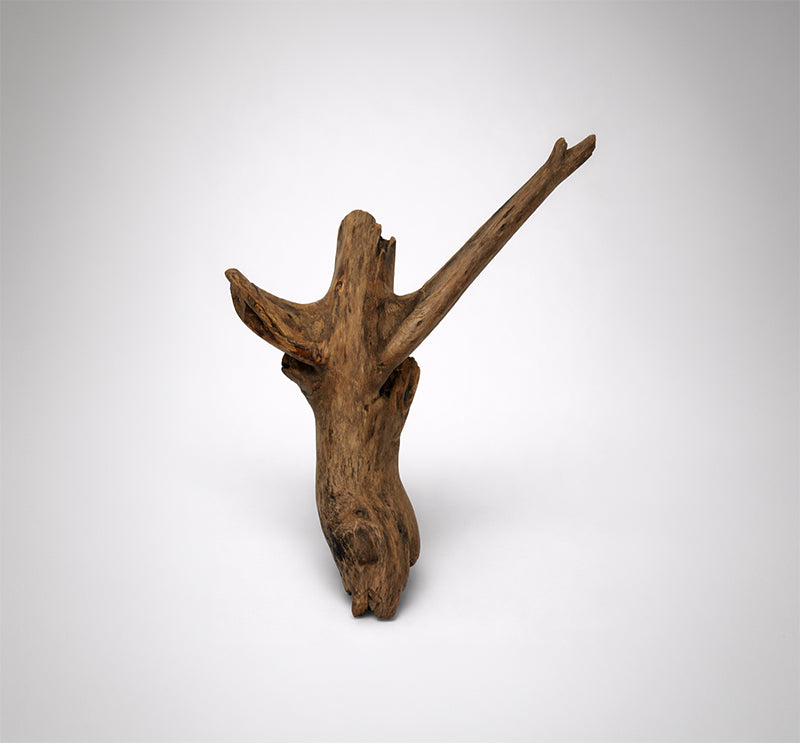 Gnu