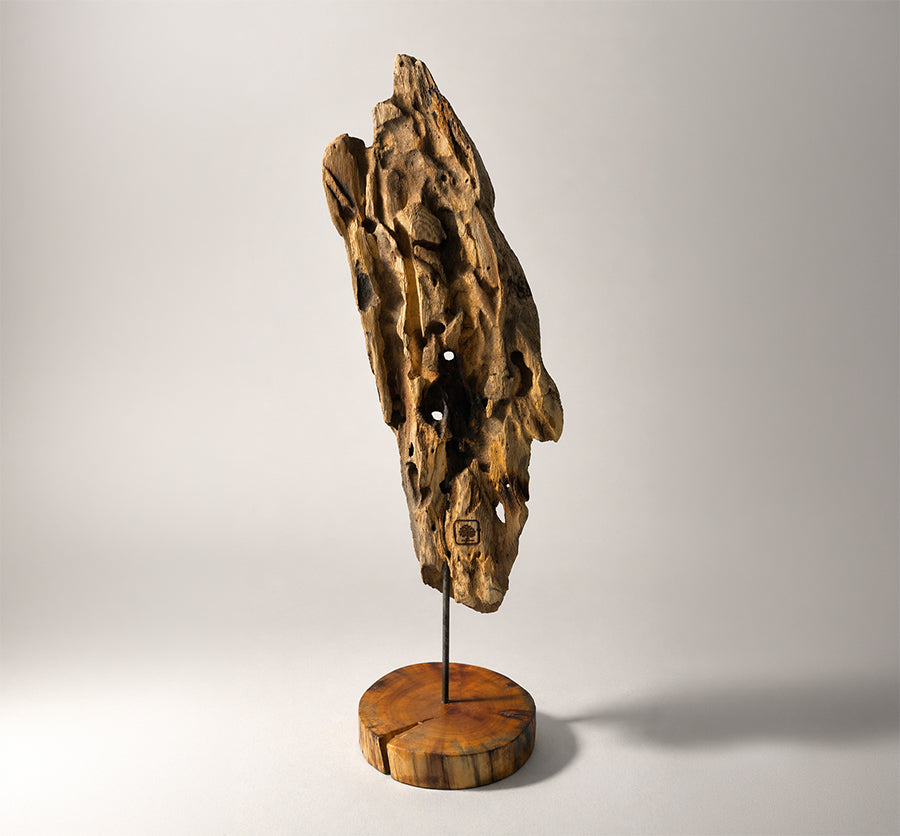 Scultura Indiana d'America